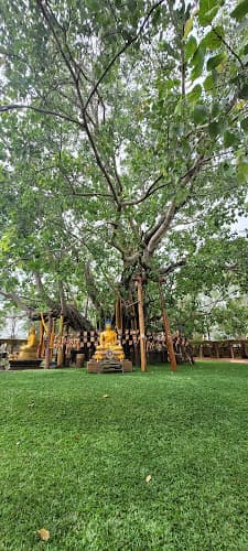 วัดต้นโพธิ์ศรีมหาโพธิ, อำเภอศรีมโหสถ, ปราจีนบุรี